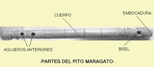 PARTES DEL PITO MARAGATO
